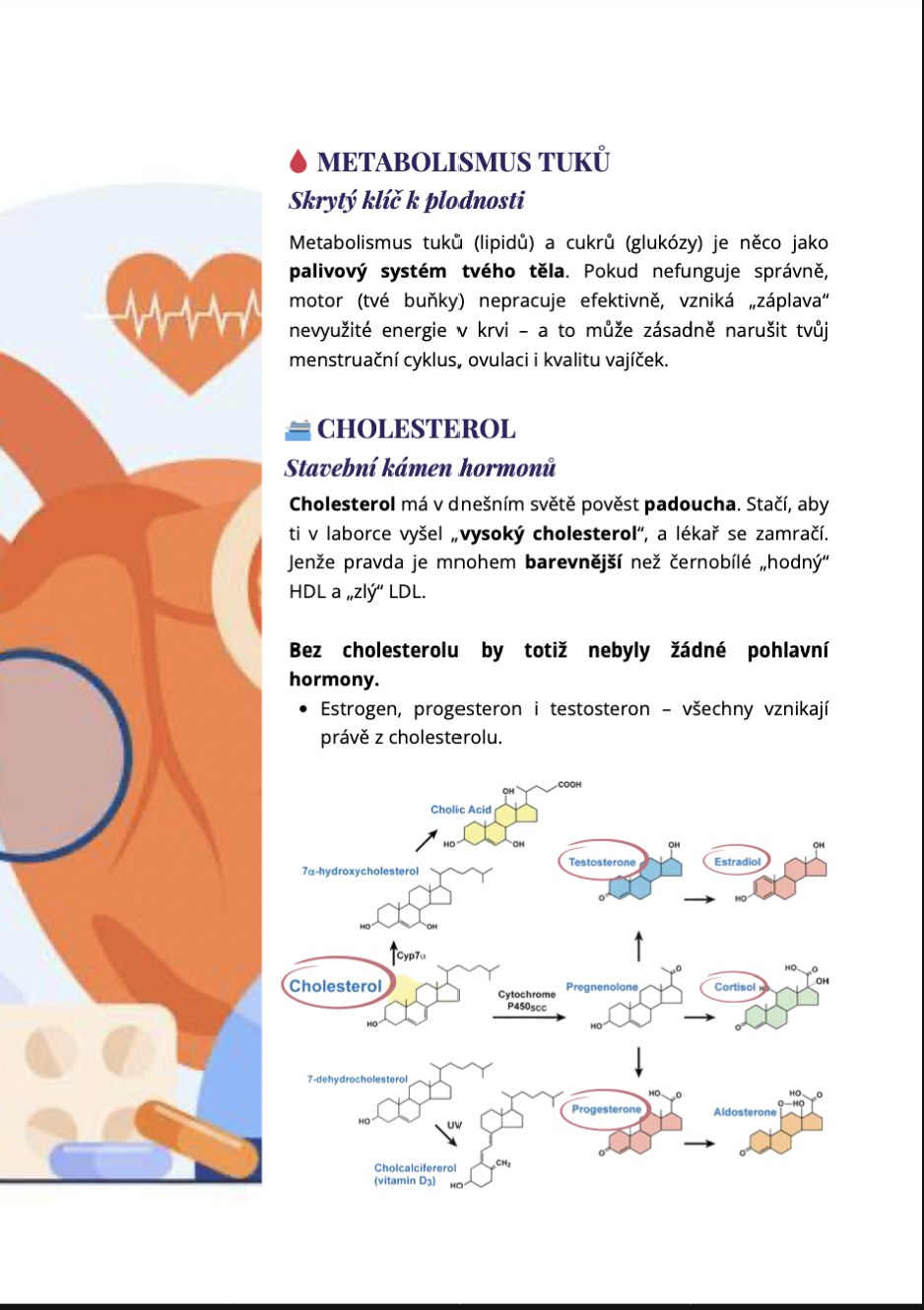 Metabolismus a hormony