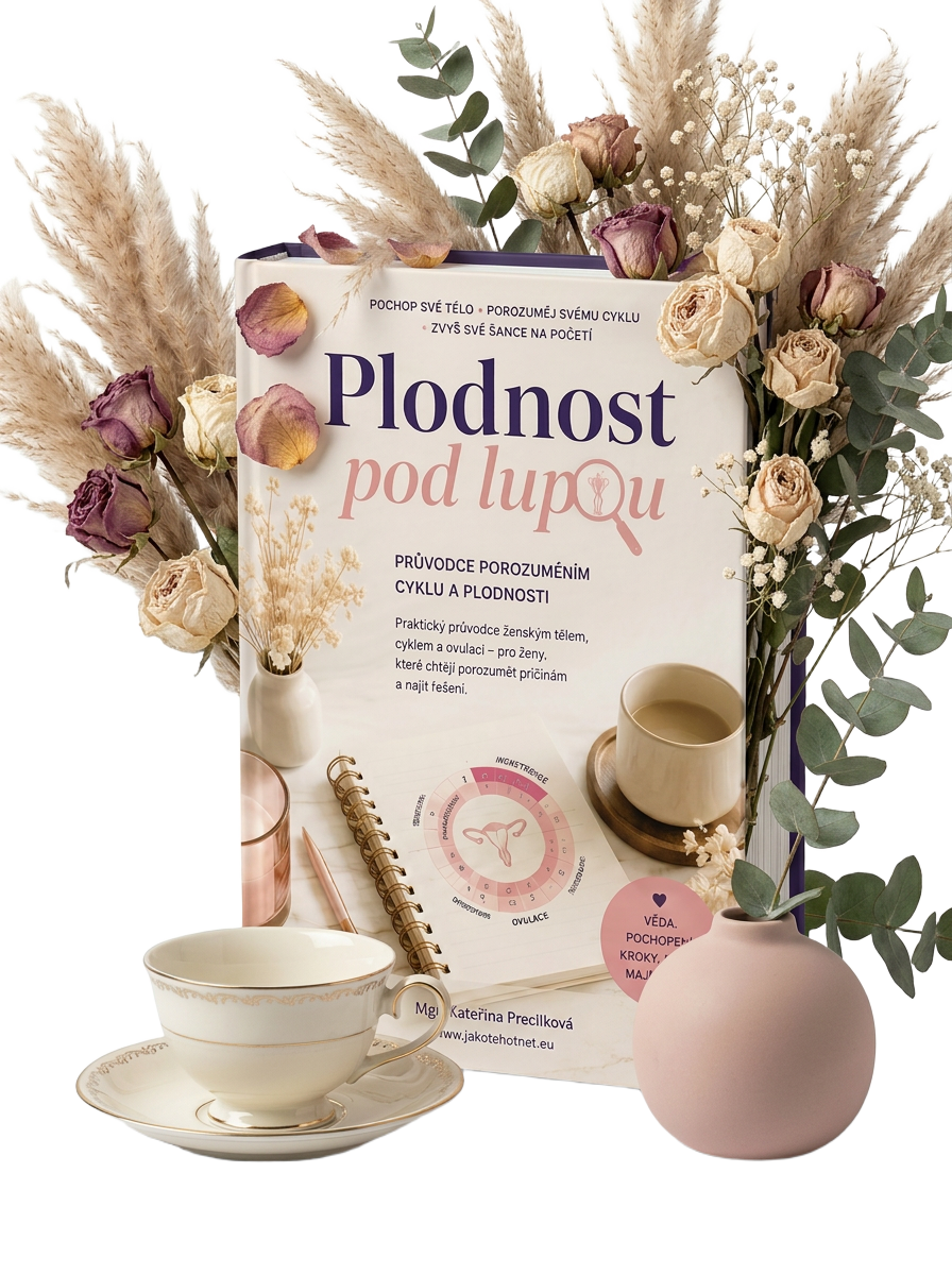Ebook Plodnost pod lupou — průvodce porozuměním cyklu a plodnosti